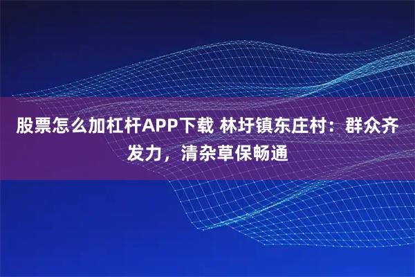 股票怎么加杠杆APP下载 林圩镇东庄村:群众齐发力,清杂草保畅通
