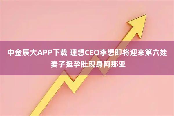 中金辰大APP下载 理想CEO李想即将迎来第六娃 妻子挺孕肚现身阿那亚